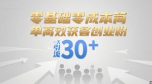 零基础零成本简单高效获客创业粉,一天引流30+-赚金金-技能学习分享