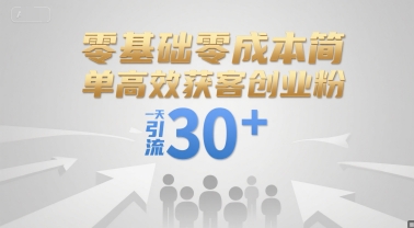 零基础零成本简单高效获客创业粉，一天引流30+-赚金金-技能学习分享