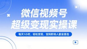 微信视频号超级变现实操课,每天1小时,轻松变现,宝妈职场人副业首选-赚金金-技能学习分享