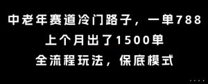 中老年赛道冷门路子，一单788，上个月出了1500单，全流程玩法，保底模式【揭秘】-赚金金-技能学习分享
