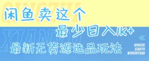 闲鱼卖这个,最少日入1k,最新无货源选品玩法-赚金金-技能学习分享