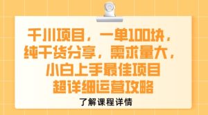 千川项目，一单1张，纯干货分享，需求量大，小白上手最佳项目，超详细运营攻略-赚金金-技能学习分享