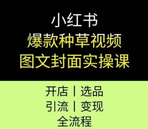小红书爆款种草视频图文封面实操课,开店、选品、引流、变现全流程-赚金金-技能学习分享