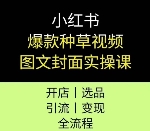 小红书爆款种草视频图文封面实操课，开店、选品、引流、变现全流程-赚金金-技能学习分享