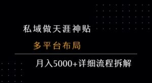 私域做天涯神贴 多平台布局 月入5k+详细流程拆解-赚金金-技能学习分享