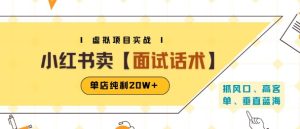 小红书虚拟项目掘金,卖面试话术资料,单店纯利20W+(附爆款笔记制作方法)-赚金金-技能学习分享