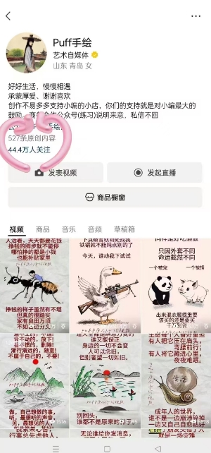 Puff手绘视频号分成项目，三天过分成计划，简单易上手，适合新手-赚金金-技能学习分享