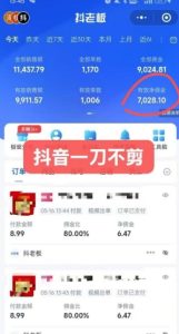 抖音短视频一刀不剪带货,不剪辑,不直播,每天发个视频,等着出单获取带货佣金-赚金金-技能学习分享