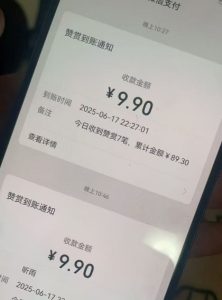 二次元男粉快速变现项目,私域卖虚拟产品,百分利润-赚金金-技能学习分享