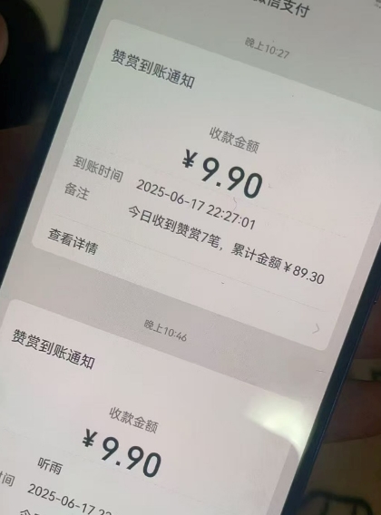 二次元男粉快速变现项目，私域卖虚拟产品，百分利润-赚金金-技能学习分享