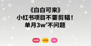 小白可来 小红书项目不需要剪辑 单月3w不是问题-赚金金-技能学习分享