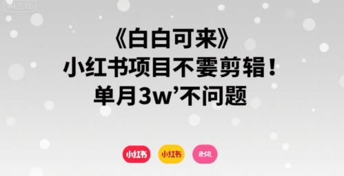 小白可来 小红书项目不需要剪辑 单月3w不是问题-赚金金-技能学习分享