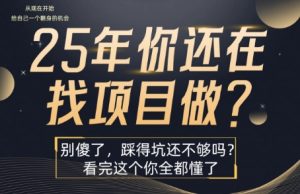 25年,你还在疯狂的找项目吗?别傻了,看完这个你都懂了【揭秘】-赚金金-技能学习分享