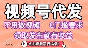 视频号代发,不用剪辑不用做视频,0门槛要求,领取发布就有收益,任务没有无上限,小白轻松上手【揭秘】-赚金金-技能学习分享