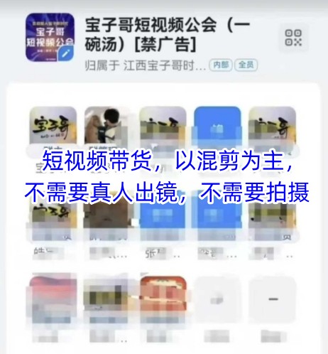 宝子哥头部团队短视频带货，以混剪为主，不需要真人出镜，不需要拍摄【更新8月】-赚金金-技能学习分享