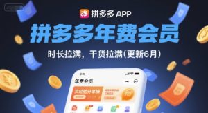 拼多多年费会员,实经验分享操,时长拉满,干货拉满(更新8月)-赚金金-技能学习分享