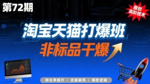淘宝天猫打爆班原创高阶技术第72期,非标品干爆-赚金金-技能学习分享