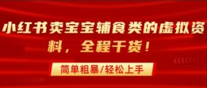 小红书卖宝宝辅食类的虚拟资料,从引流到私域变现,全程干货,简单粗暴,轻松上手-赚金金-技能学习分享