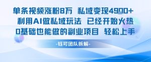 单条视频私域变现4.9k+利用AI做私域玩法 已经开始火热0基础也能做的副业项目轻松上手-赚金金-技能学习分享