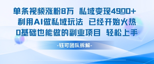 单条视频私域变现4.9k+利用AI做私域玩法 已经开始火热0基础也能做的副业项目轻松上手-赚金金-技能学习分享
