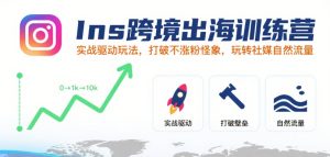 Ins跨境出海训练营,实战驱动玩法,打破不涨粉怪象,玩转社媒自然流量-赚金金-技能学习分享