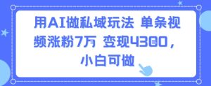用AI做私域玩法,单条视频涨粉7W变现4.3k,小白可做-赚金金-技能学习分享