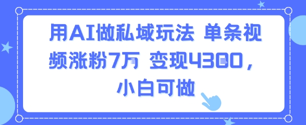 用AI做私域玩法，单条视频涨粉7W变现4.3k，小白可做-赚金金-技能学习分享