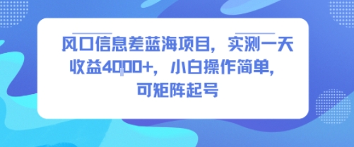 风口信息差蓝海项目，实测一天收益4k+，小白操作简单，可矩阵起号-赚金金-技能学习分享