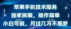 苹果手机技术服务,独家拆解,操作简单,小白可做,月过1W不是梦-赚金金-技能学习分享
