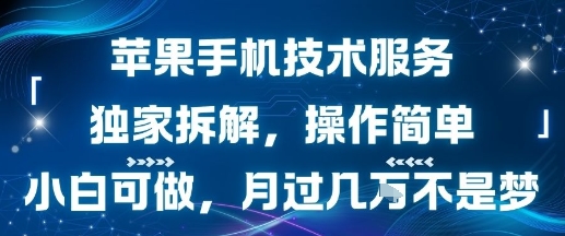 苹果手机技术服务，独家拆解，操作简单，小白可做，月过1W不是梦-赚金金-技能学习分享