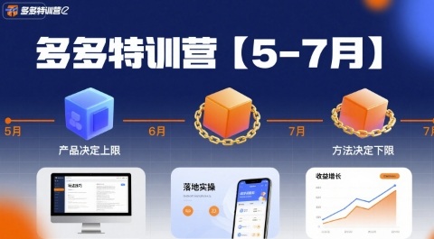 多多特训营【5-7月】产品决定上限，方法决定下限，各种玩法技巧落地实操-赚金金-技能学习分享