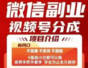 微信副业视频号分成,不直播 不卖货 不露脸,三五分钟即可完成一条作,每日收益几十、几张不等-赚金金-技能学习分享