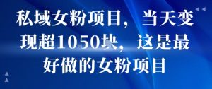 私域女粉项目,当天变现超1k,这是最好做的女粉项目,可放大操作-赚金金-技能学习分享