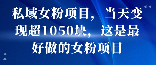 私域女粉项目，当天变现超1k，这是最好做的女粉项目，可放大操作-赚金金-技能学习分享