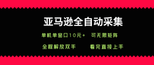 亚马逊全自动采集,单机单窗口一天10+,可无限矩阵去做【揭秘】-赚金金-技能学习分享