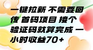 一键拉新 不需要回传 首码项目 接个验证码就算完成 一小时收益70+【揭秘】-赚金金-技能学习分享