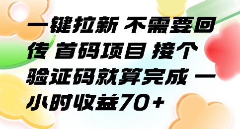 一键拉新 不需要回传 首码项目 接个验证码就算完成 一小时收益70+【揭秘】-赚金金-技能学习分享