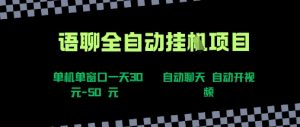 语聊自动视频自动聊天项目全新玩法,单机单窗口一天30-50+,新手看完直接上手【揭秘】-赚金金-技能学习分享