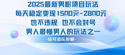2025最新男粉项目玩法每天变现1k+也不违规也不会封号男人最懂男人的玩法-赚金金-技能学习分享