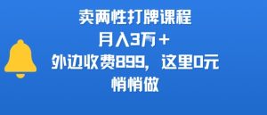 卖两性打牌课程,月入3W+外边收费899的课程,这里0元,悄悄做-赚金金-技能学习分享