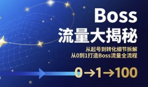 Boss流量大揭秘,从起号到转化细节拆解,从0到1打造Boss流量全流程-赚金金-技能学习分享