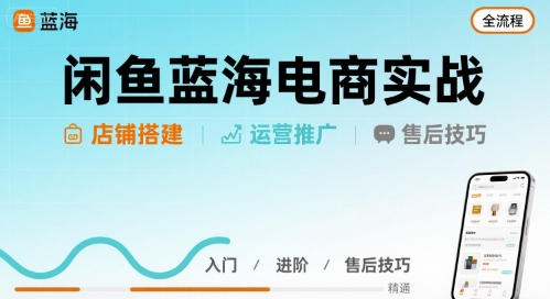 闲鱼蓝海电商实战，店铺搭建运营售后全流程-赚金金-技能学习分享