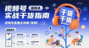 视频号实战干货指南,视频号直播全攻略(音频)-赚金金-技能学习分享