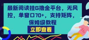 最新阅读挂G撸金平台,无风控,单窗口70+,支持矩阵,保姆级教程【揭秘】-赚金金-技能学习分享