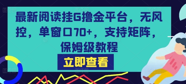最新阅读挂G撸金平台，无风控，单窗口70+，支持矩阵，保姆级教程【揭秘】-赚金金-技能学习分享