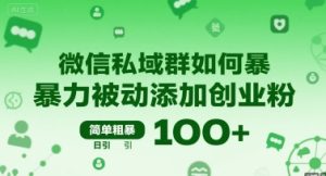微信私域群如何暴力被动添加创业粉，简单粗暴，日引100+-赚金金-技能学习分享