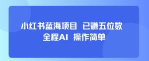 小红书蓝海项目,全程AI,操作简单,已挣五位数-赚金金-技能学习分享