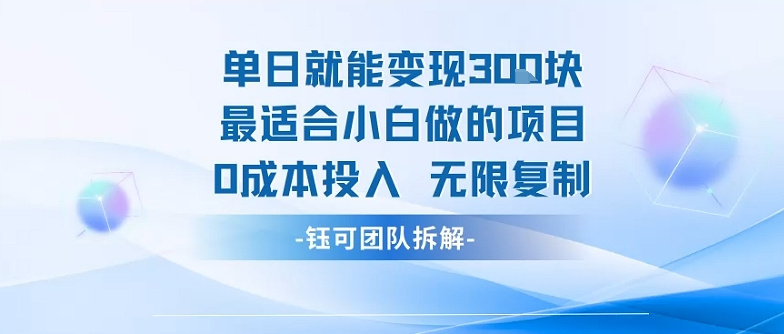 单日就能变现3张最适合小白做的项目0成本投入 无限复制-赚金金-技能学习分享