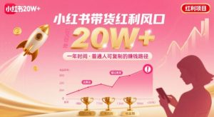 一年时间靠小红书带货项目年入20w+,最不能错的大红利项目-赚金金-技能学习分享