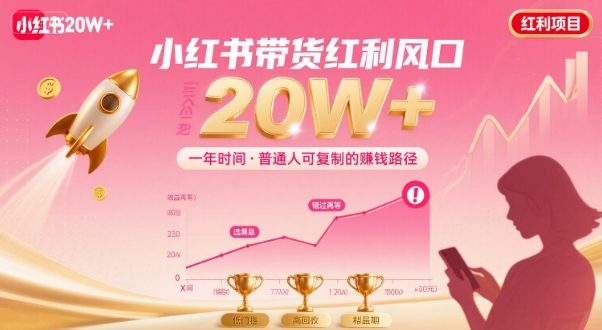 一年时间靠小红书带货项目年入20w+，最不能错的大红利项目-赚金金-技能学习分享